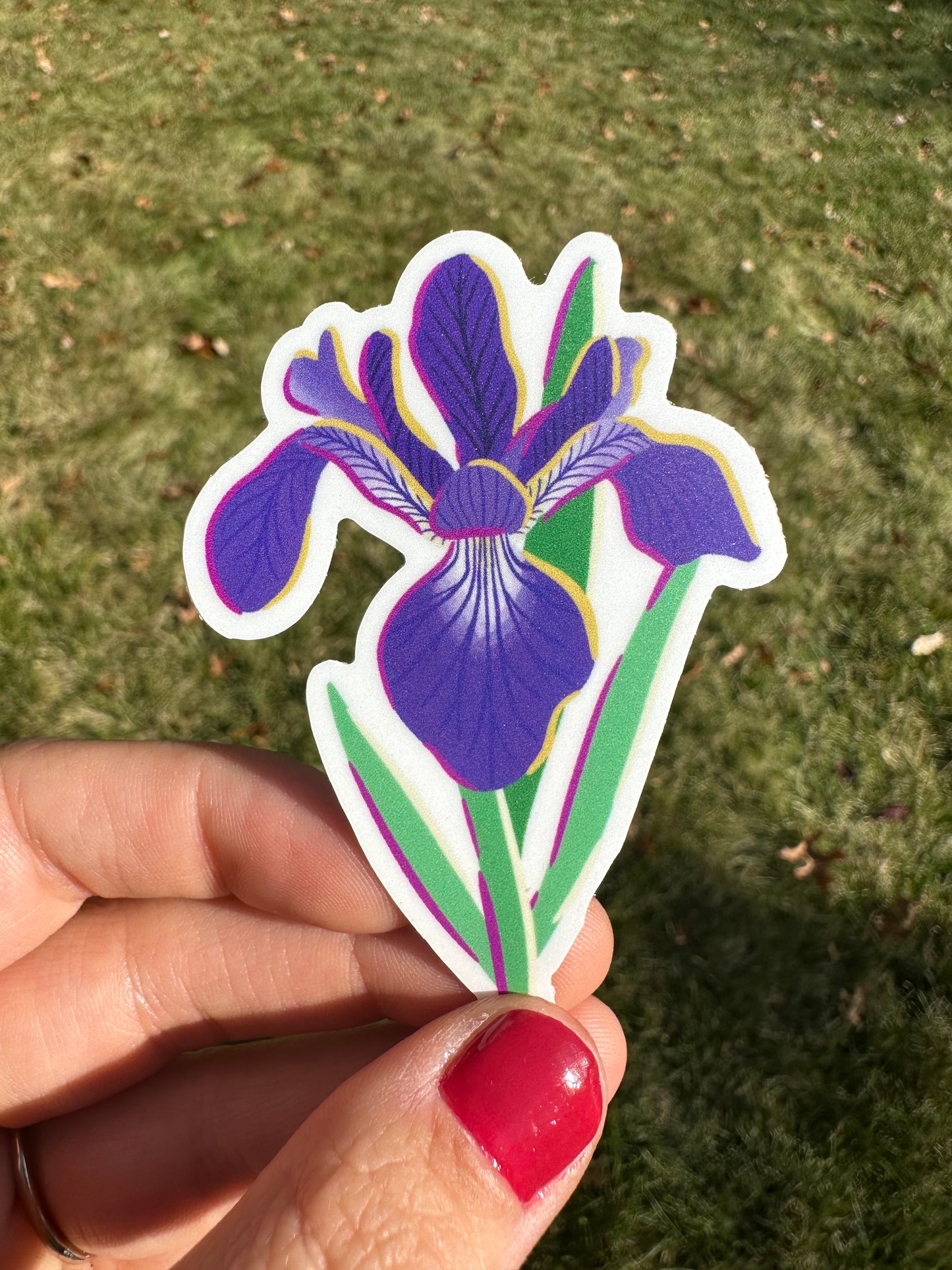 Iris Sticker