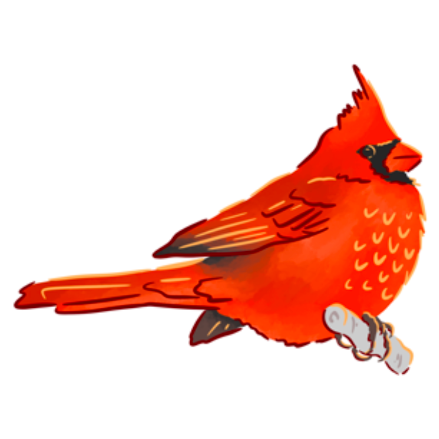 Cardinal Sticker