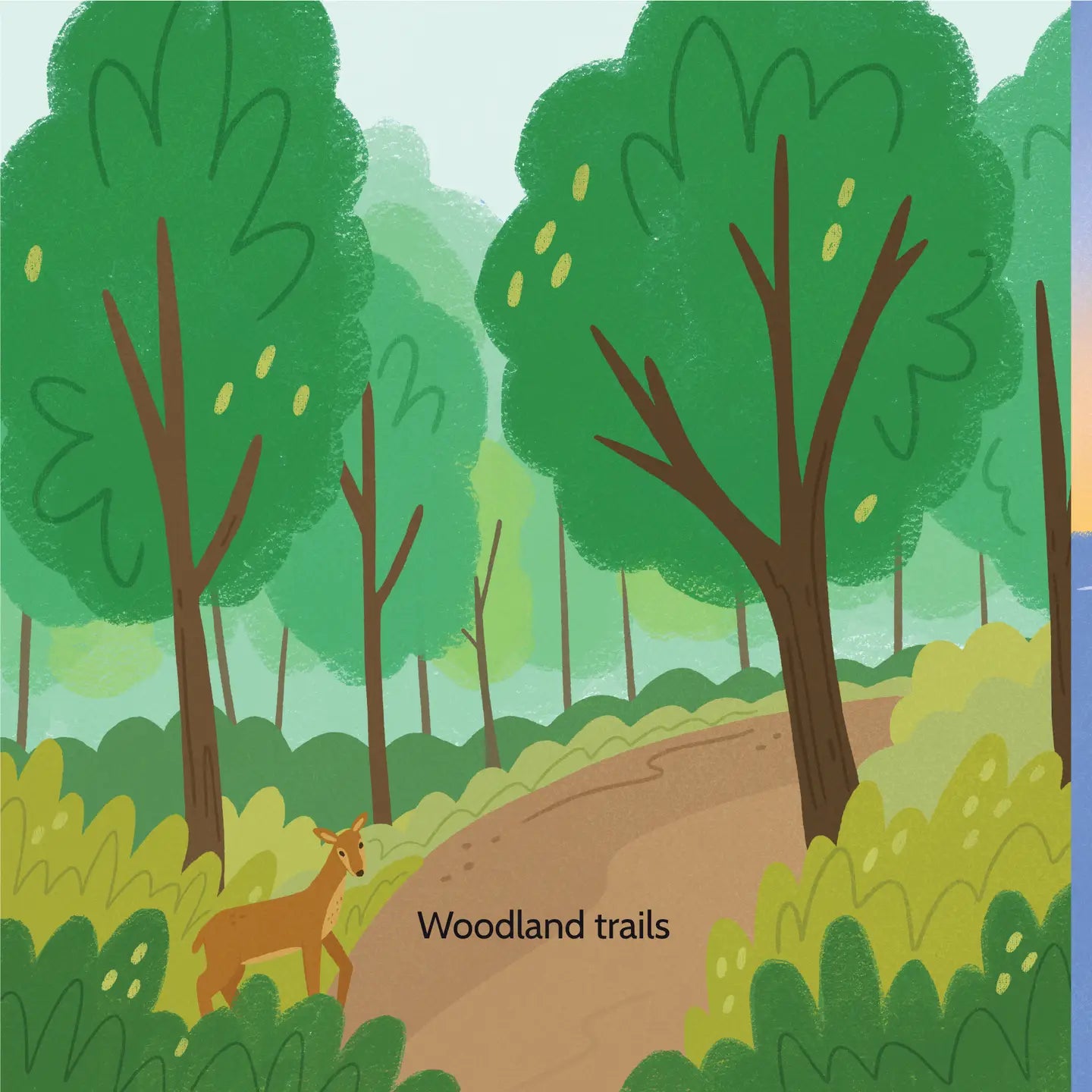 Here in Ohio Board Book